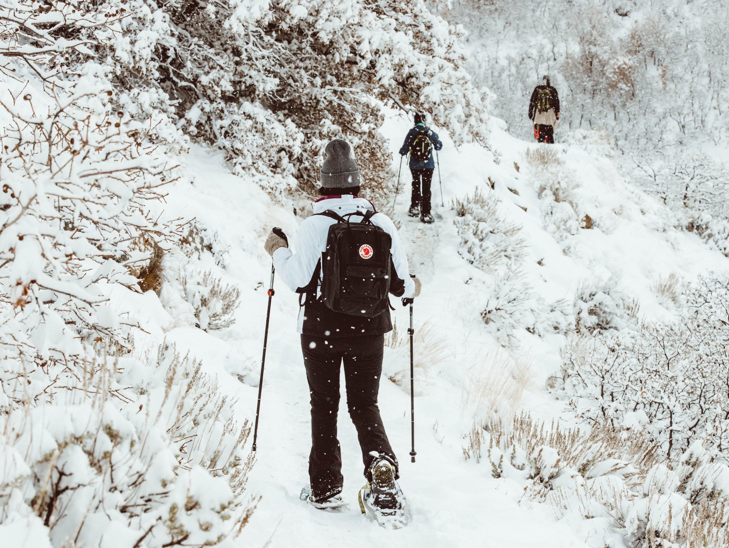 Raquette en montagne : la tenue idéale